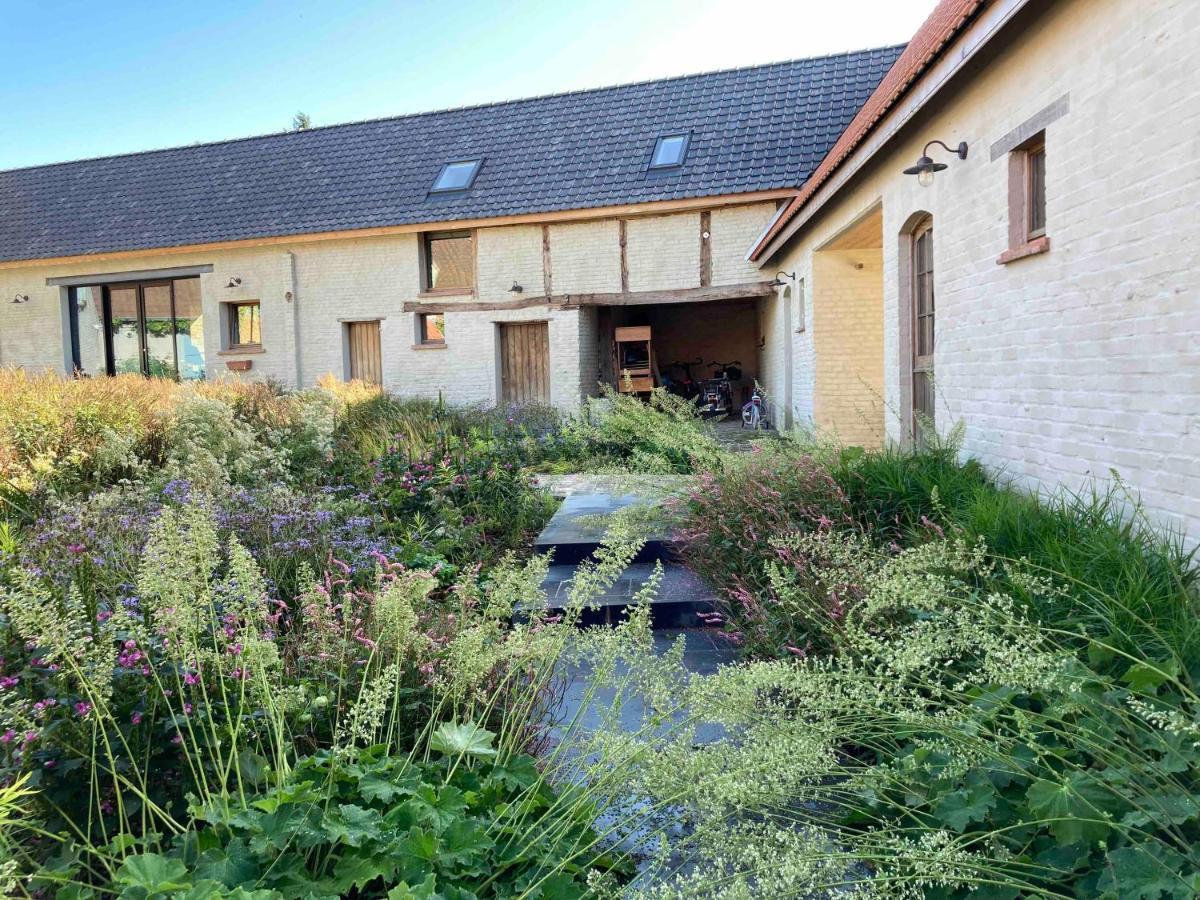 Nachtegael Hoekhuis, Knusse Woning Met Prachtig Vergezicht Kluisbergen Exteriér fotografie