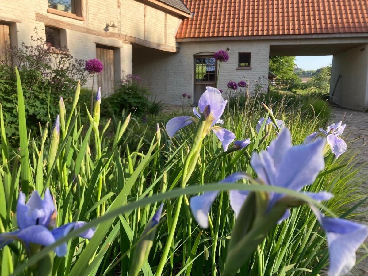 Nachtegael Hoekhuis, Knusse Woning Met Prachtig Vergezicht Kluisbergen Exteriér fotografie