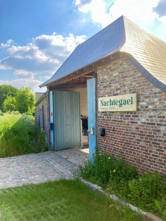 Nachtegael Hoekhuis, Knusse Woning Met Prachtig Vergezicht Kluisbergen Exteriér fotografie