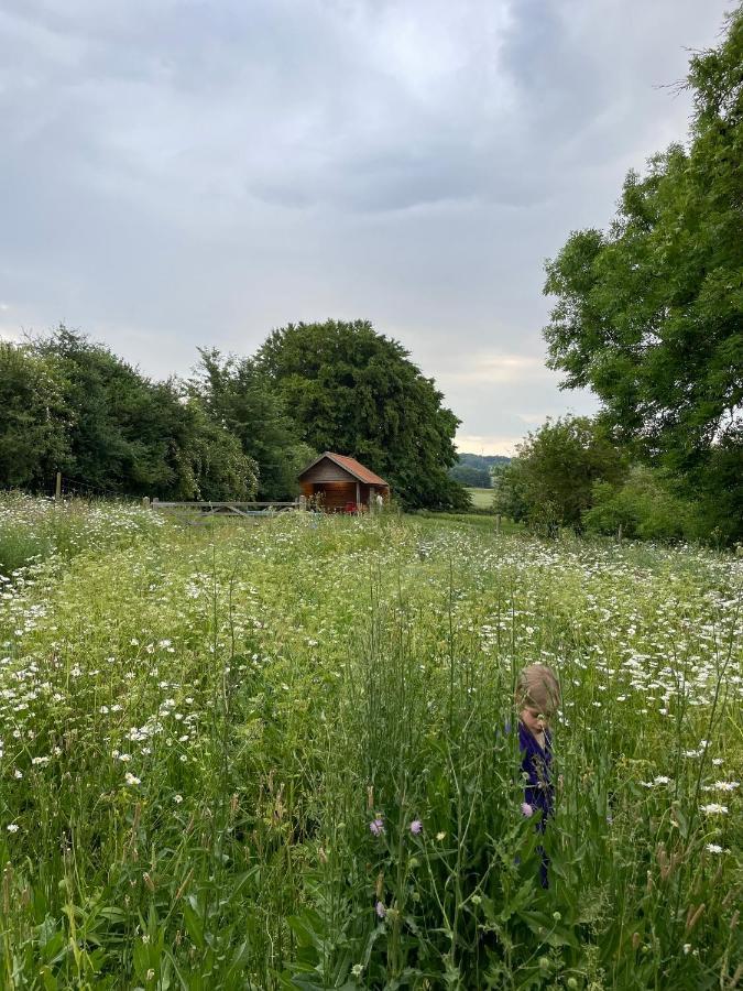 Nachtegael Hoekhuis, Knusse Woning Met Prachtig Vergezicht Kluisbergen Exteriér fotografie